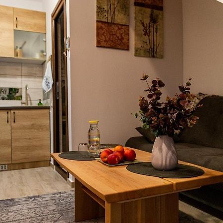 Studio Aries Postavarului Braşov Dış mekan fotoğraf