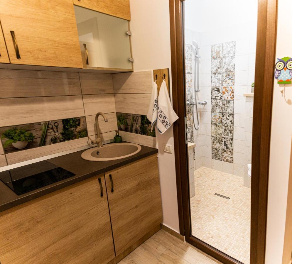 Studio Aries Postavarului Braşov Dış mekan fotoğraf