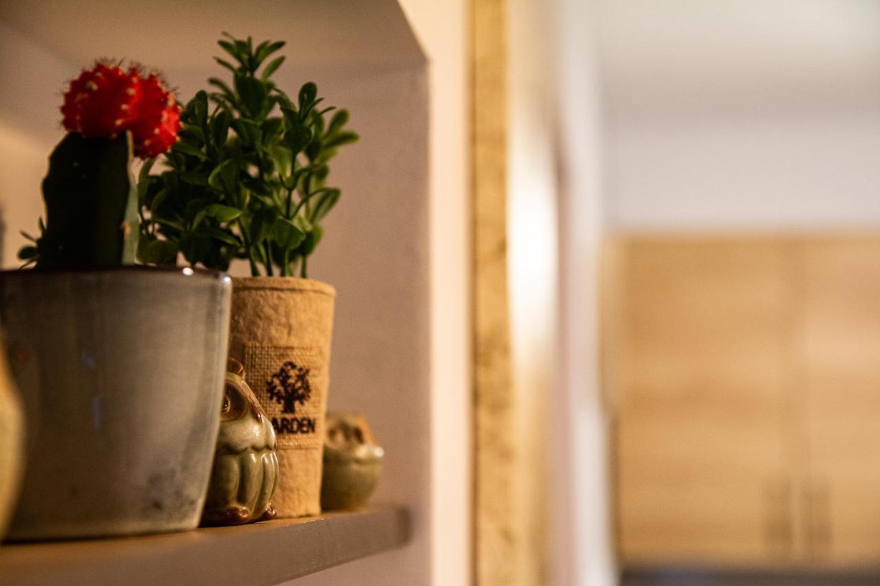 Studio Aries Postavarului Braşov Dış mekan fotoğraf